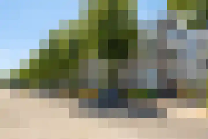 Van Bijnkershoeklaan 105 Utrecht thumbnail 29