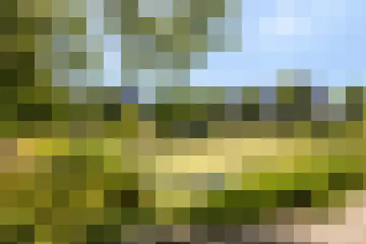 Van Bijnkershoeklaan 105 Utrecht thumbnail 30