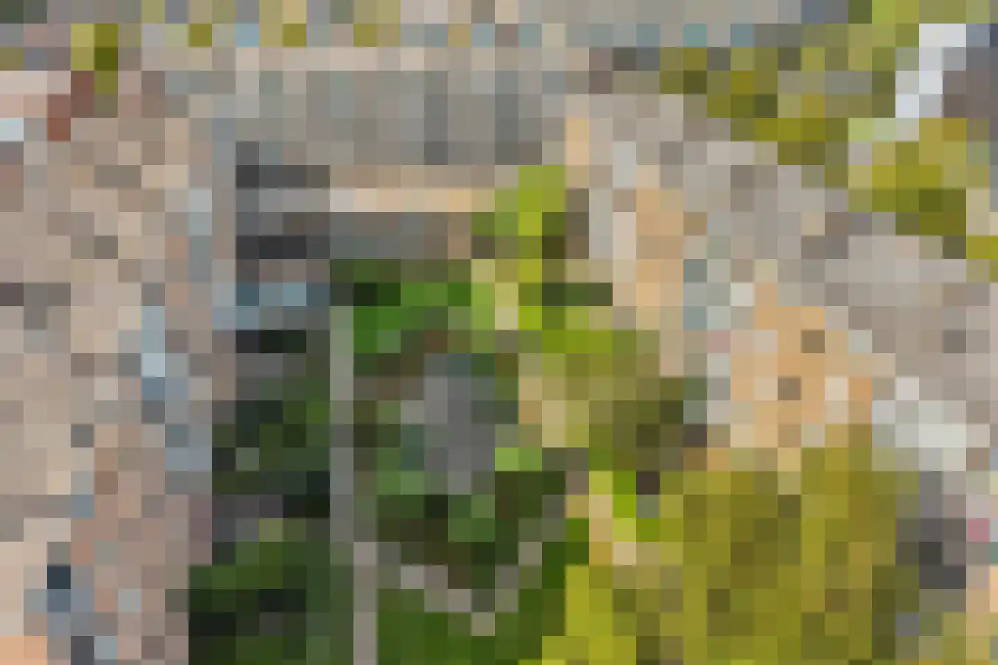 Van Bijnkershoeklaan 13 Utrecht thumbnail 25