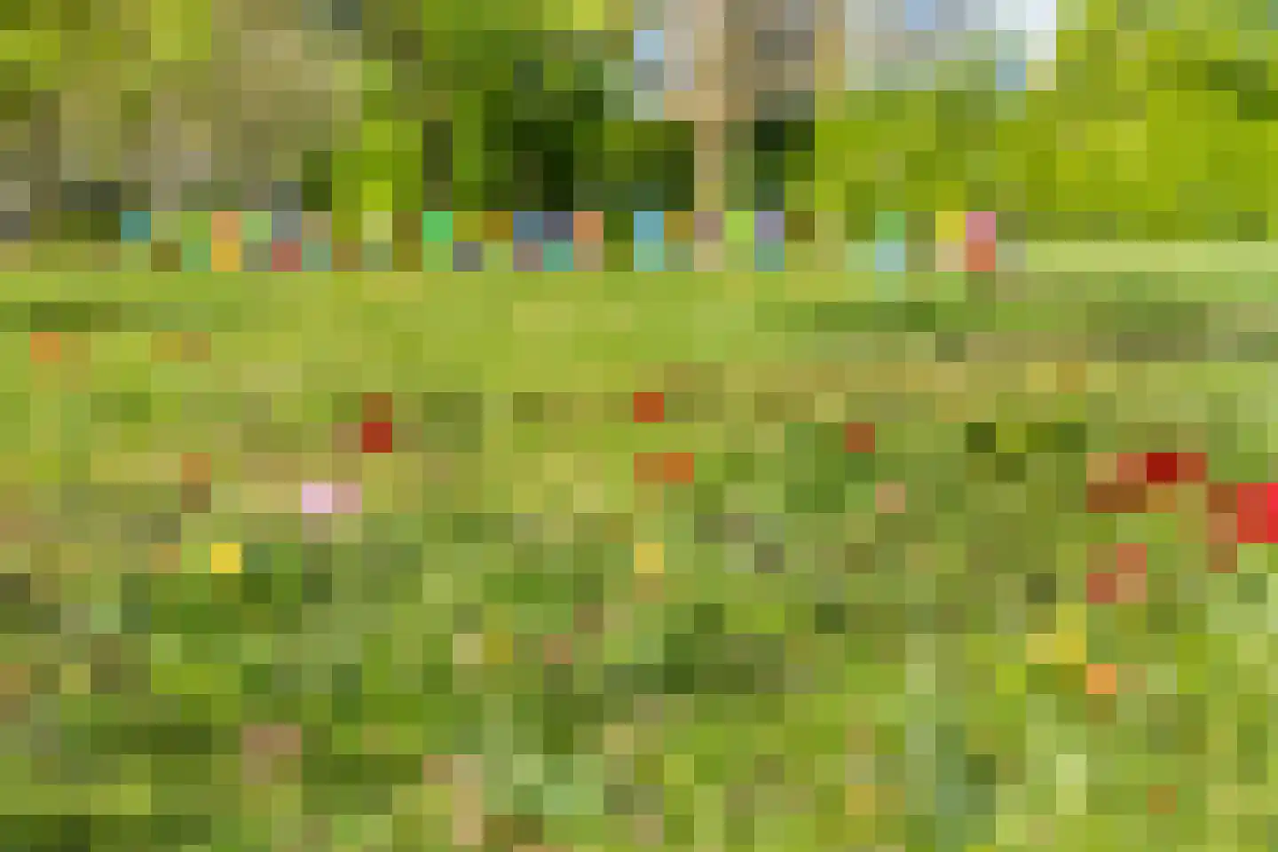 Van Bijnkershoeklaan 13 Utrecht thumbnail 30