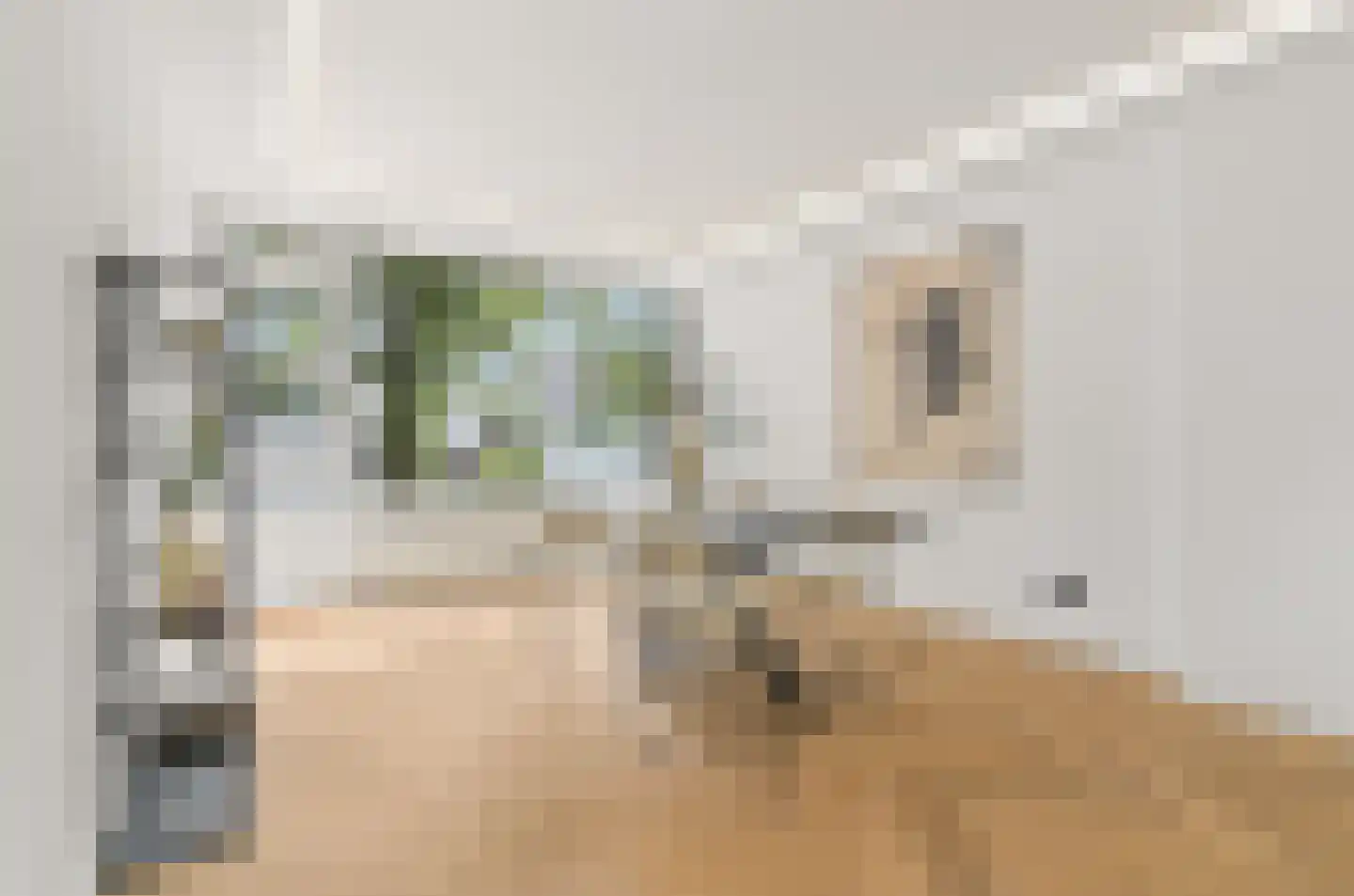 Van Bijnkershoeklaan 137 Utrecht thumbnail 13