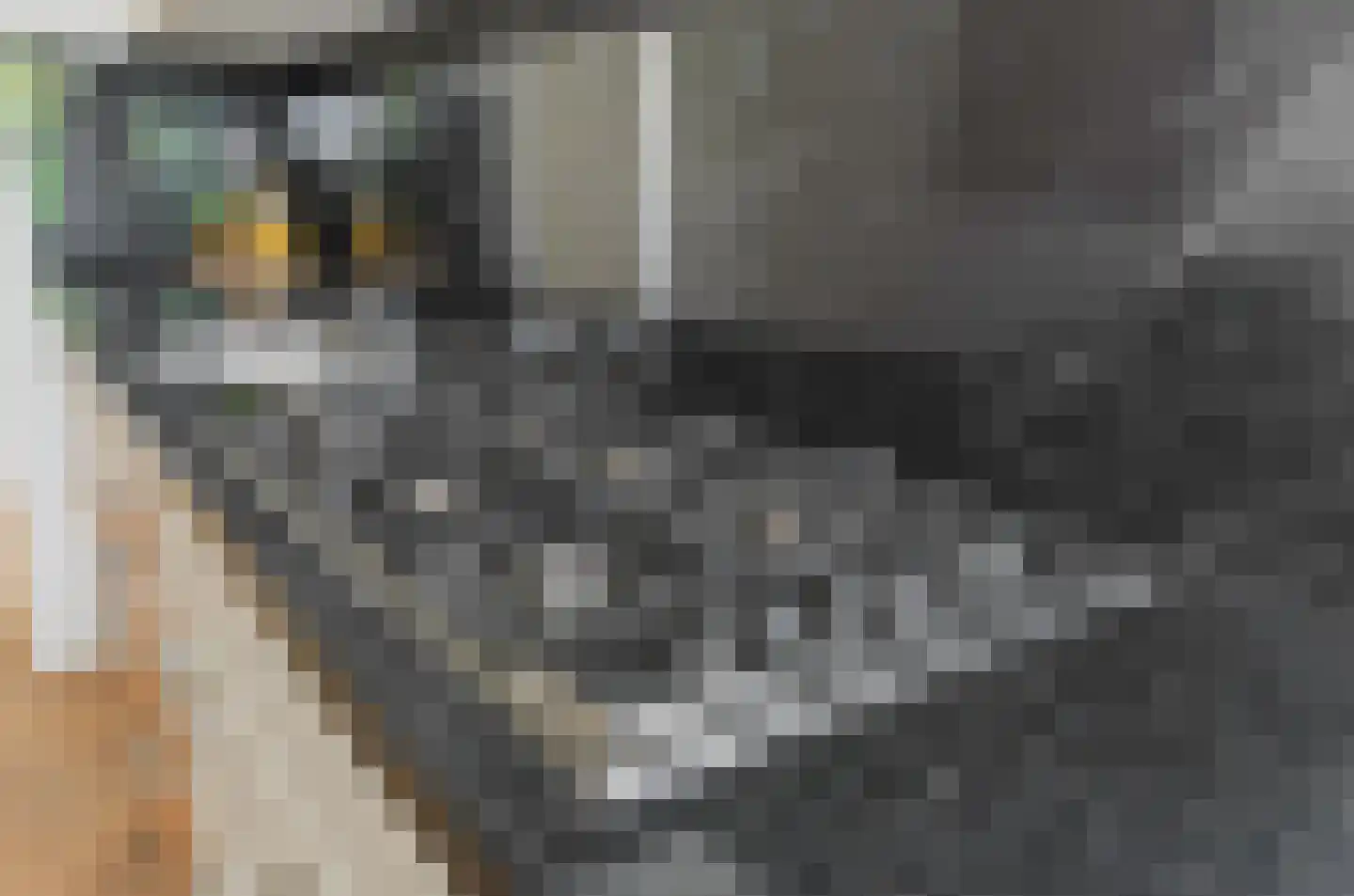 Van Bijnkershoeklaan 137 Utrecht thumbnail 19