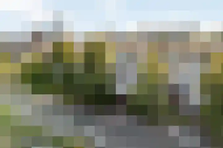 Van Bijnkershoeklaan 185 Utrecht thumbnail 27