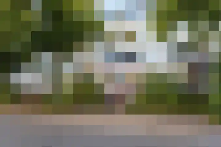 Van Bijnkershoeklaan 185 Utrecht thumbnail 28