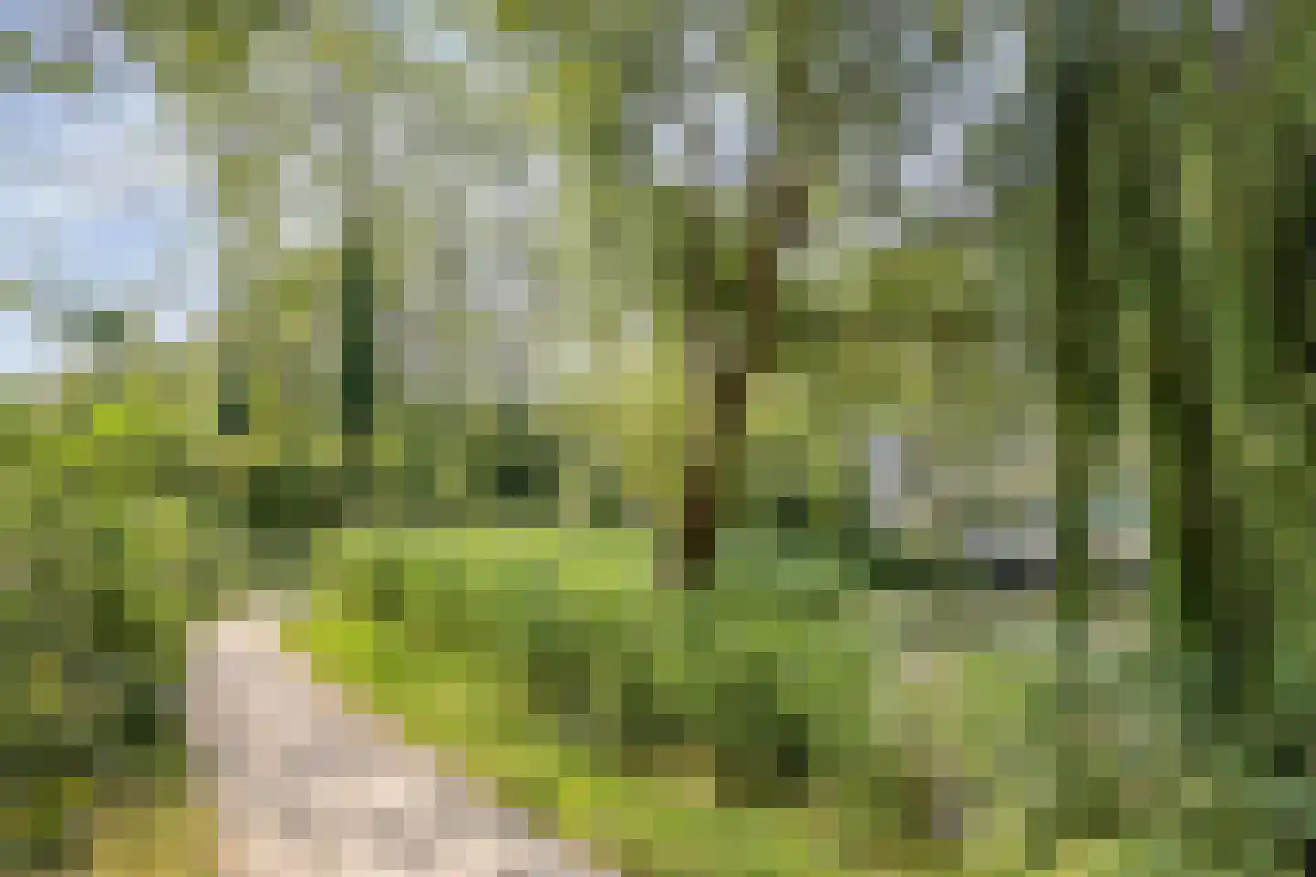 Van Bijnkershoeklaan 205 Utrecht thumbnail 32