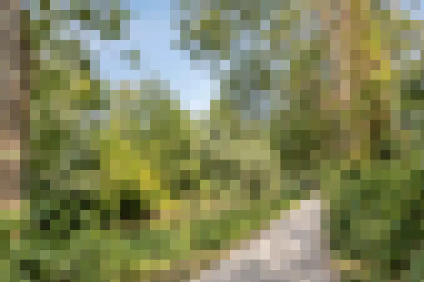 Van Bijnkershoeklaan 205 Utrecht thumbnail 34
