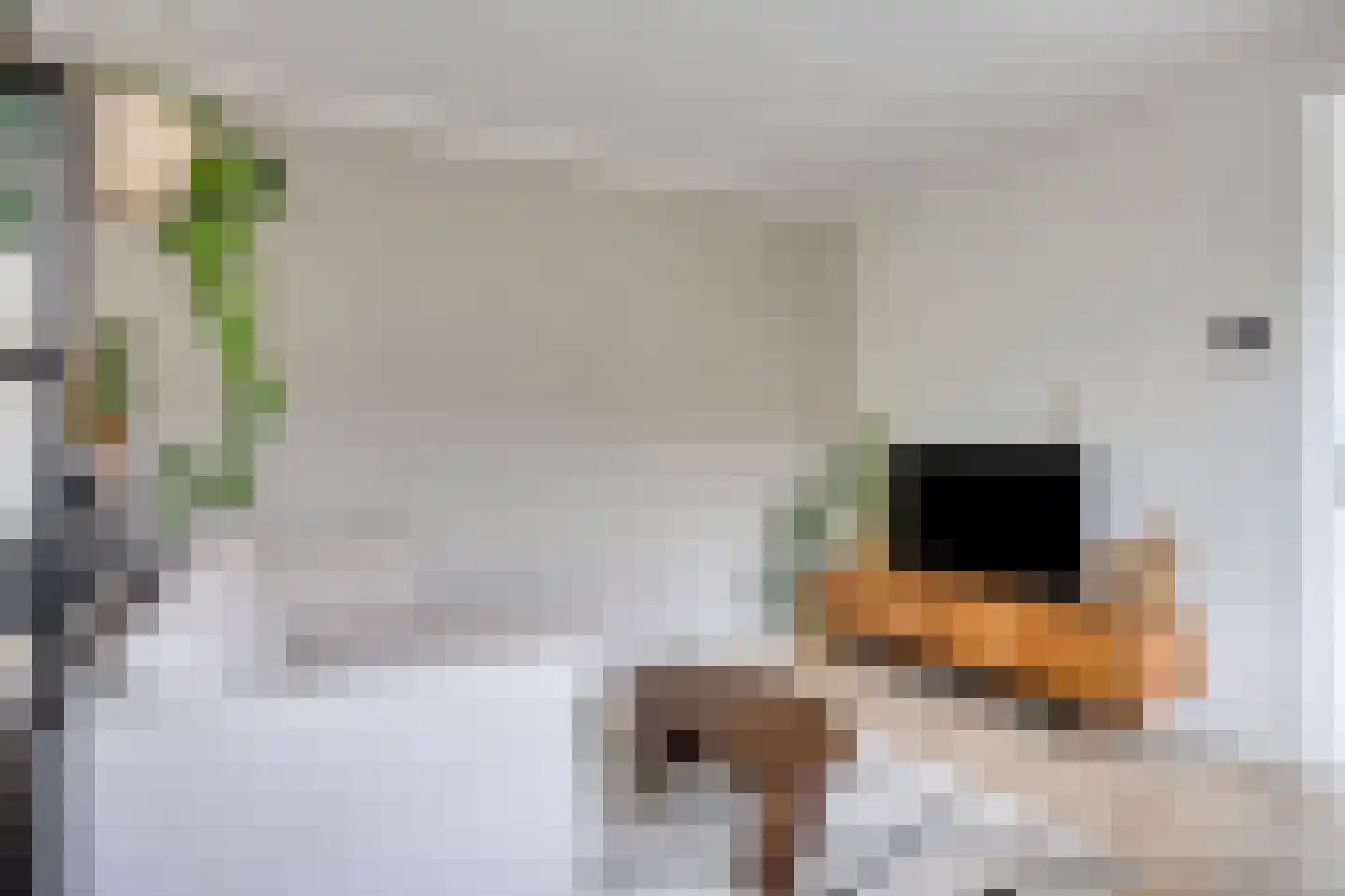 Van Bijnkershoeklaan 205 Utrecht thumbnail 4