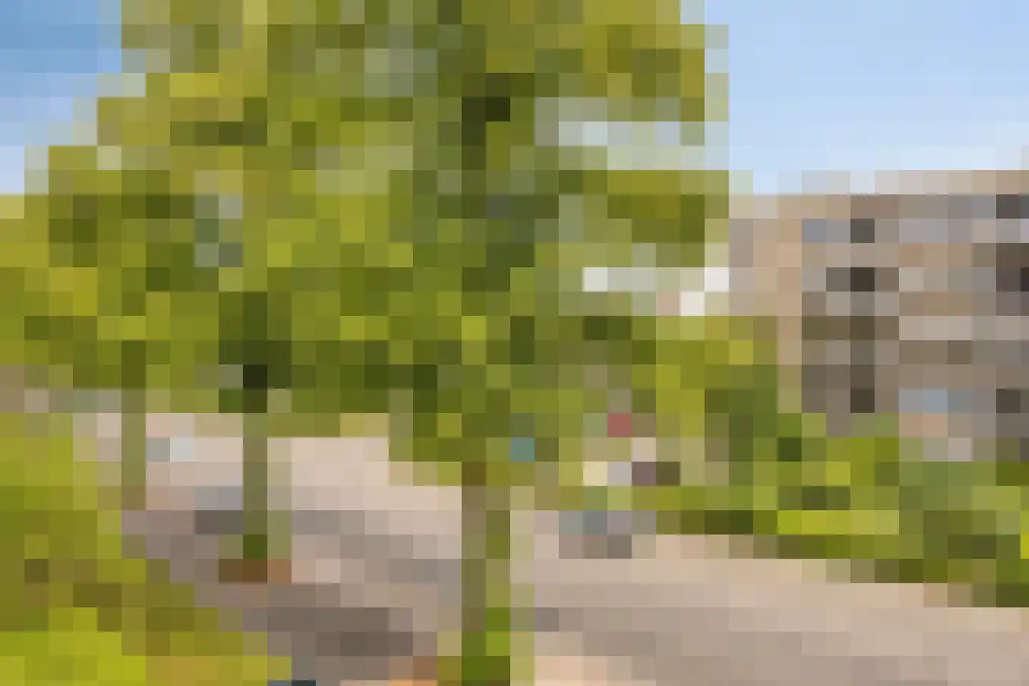 Van Bijnkershoeklaan 205 Utrecht thumbnail 6