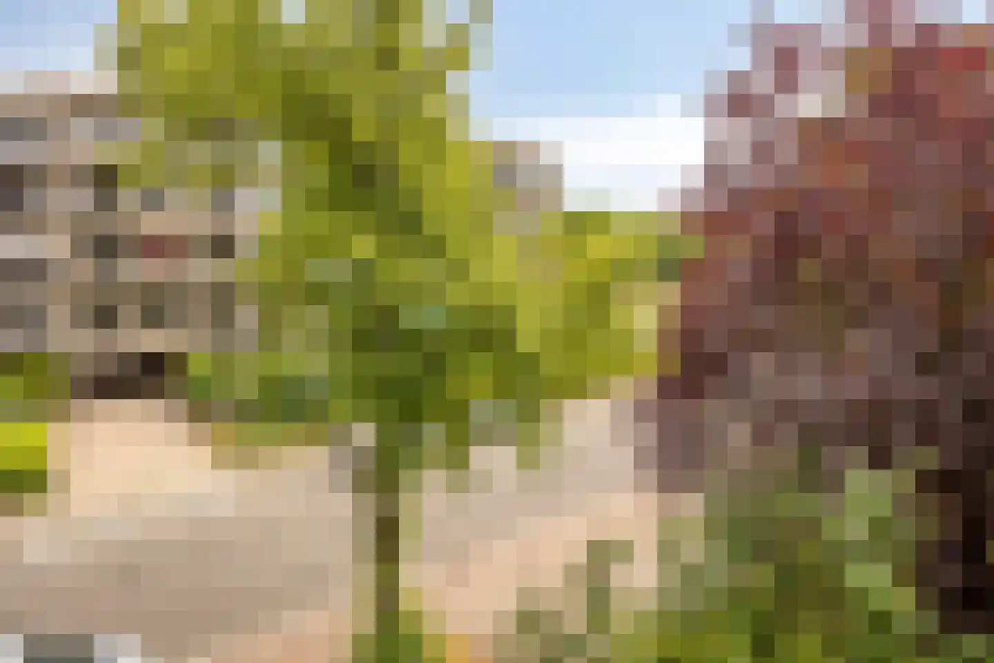 Van Bijnkershoeklaan 205 Utrecht thumbnail 7