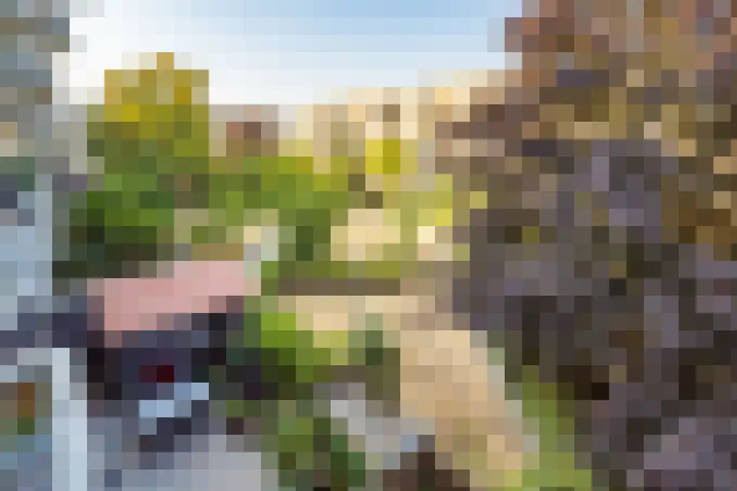Van Bijnkershoeklaan 227 Utrecht thumbnail 18