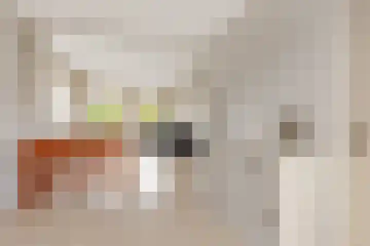 Van Bijnkershoeklaan 229 Utrecht thumbnail 14