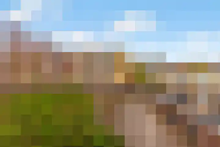 Van Bijnkershoeklaan 229 Utrecht thumbnail 26