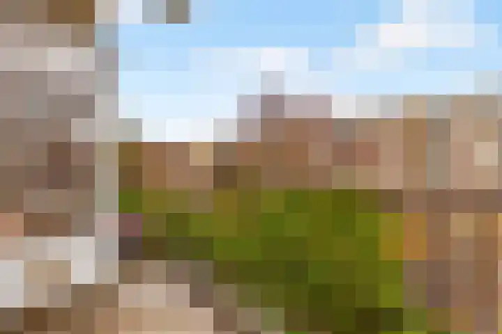 Van Bijnkershoeklaan 229 Utrecht thumbnail 27