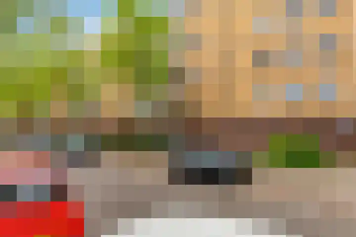 Van Bijnkershoeklaan 229 Utrecht thumbnail 30