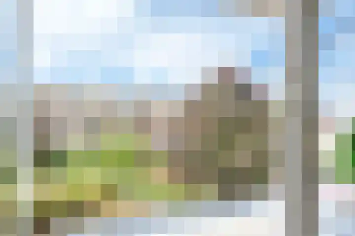 Van Bijnkershoeklaan 245 Utrecht thumbnail 17