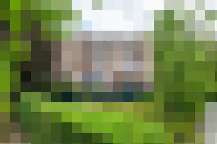 Van Bijnkershoeklaan 245 Utrecht thumbnail 32