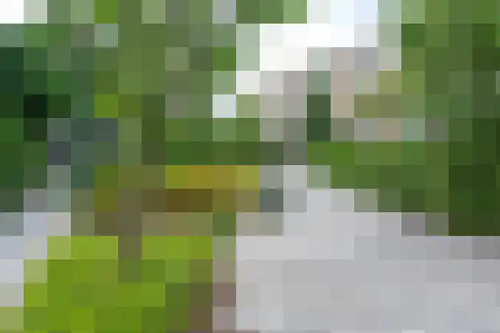 Van Bijnkershoeklaan 245 Utrecht thumbnail 34
