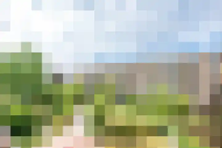 Van Bijnkershoeklaan 245 Utrecht thumbnail 35
