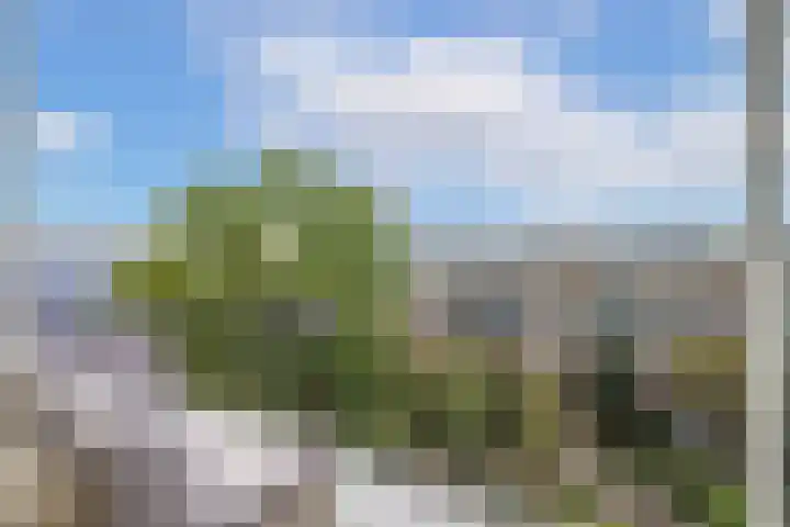 Van Bijnkershoeklaan 271 Utrecht thumbnail 23