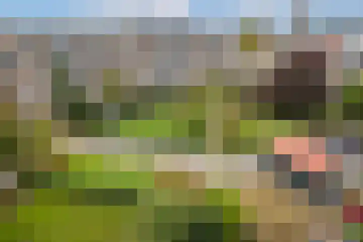 Van Bijnkershoeklaan 271 Utrecht thumbnail 26