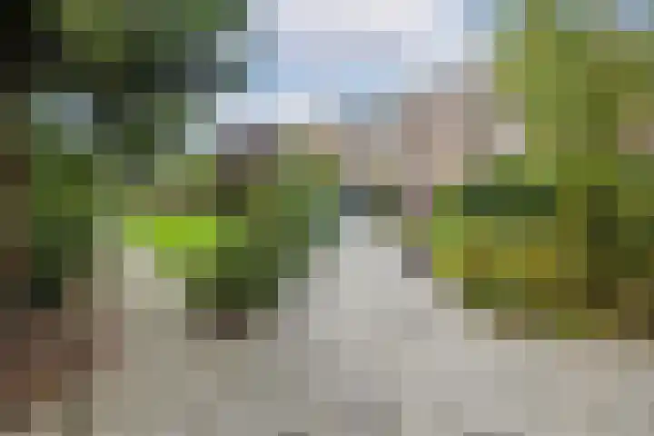 Van Bijnkershoeklaan 271 Utrecht thumbnail 31