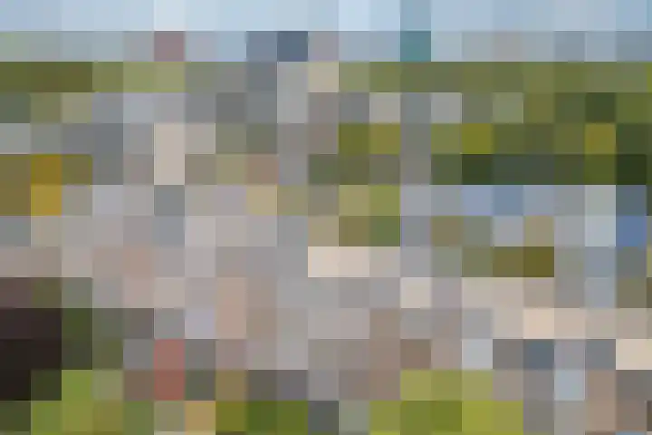 Van Bijnkershoeklaan 271 Utrecht thumbnail 34