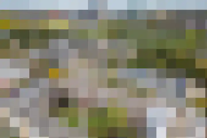Van Bijnkershoeklaan 271 Utrecht thumbnail 35