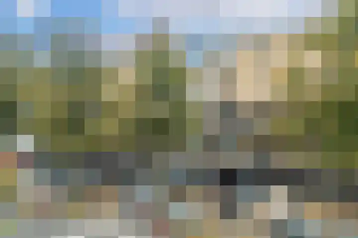 Van Bijnkershoeklaan 271 Utrecht thumbnail 4