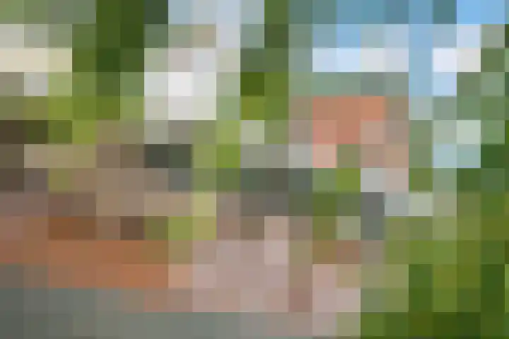Van Bijnkershoeklaan 271 Utrecht thumbnail 41