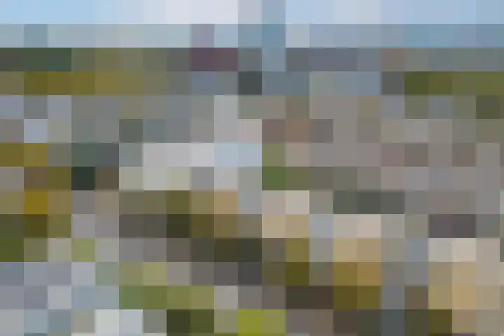 Van Bijnkershoeklaan 271 Utrecht thumbnail 44