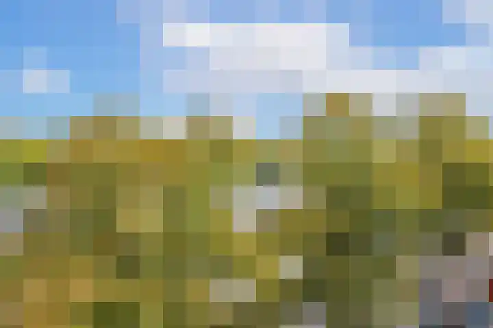 Van Bijnkershoeklaan 271 Utrecht thumbnail 9