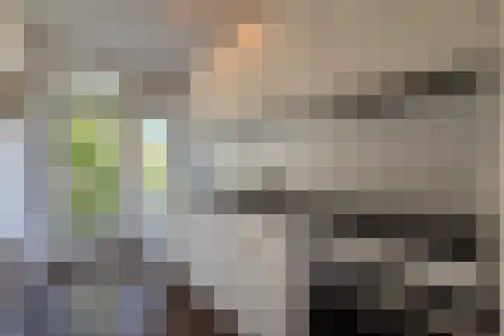 Van Bijnkershoeklaan 281 Utrecht thumbnail 5