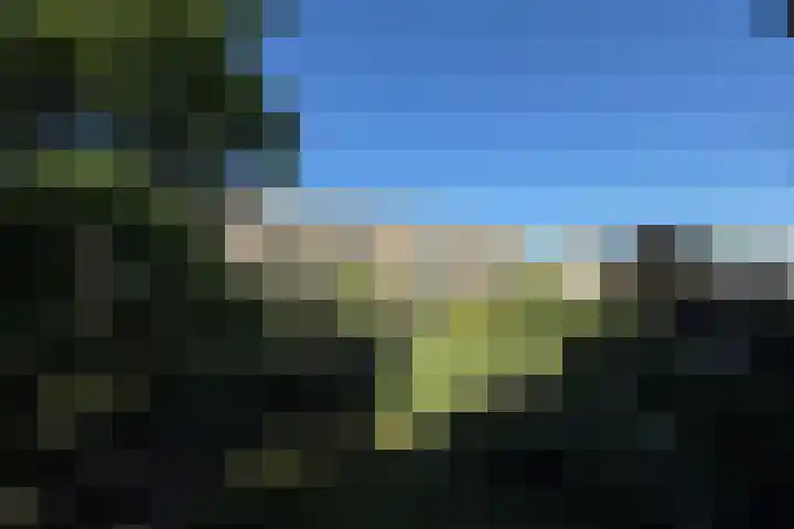 Van Bijnkershoeklaan 281 Utrecht thumbnail 8