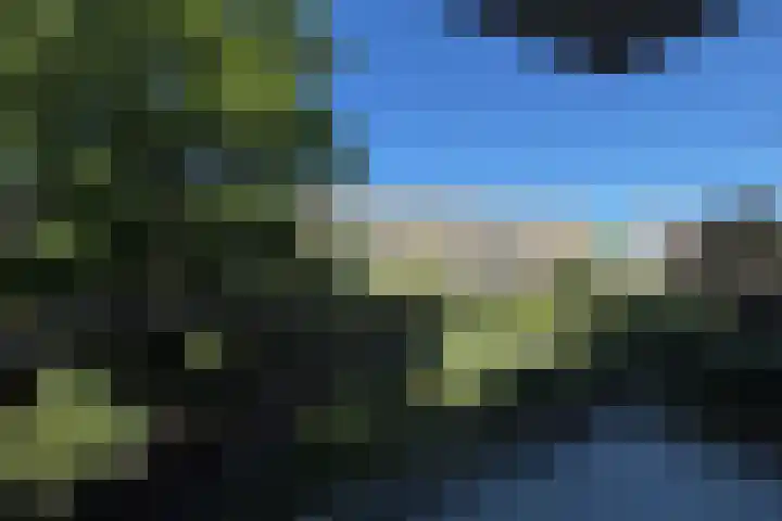 Van Bijnkershoeklaan 281 Utrecht thumbnail 9