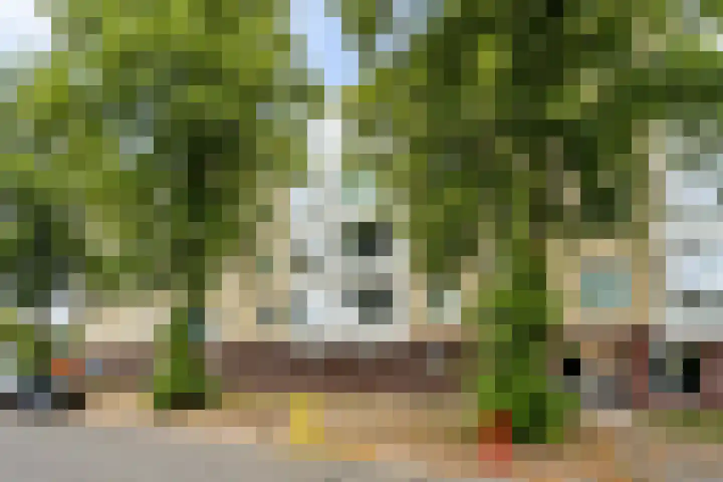 Van Bijnkershoeklaan 291 Utrecht thumbnail 26