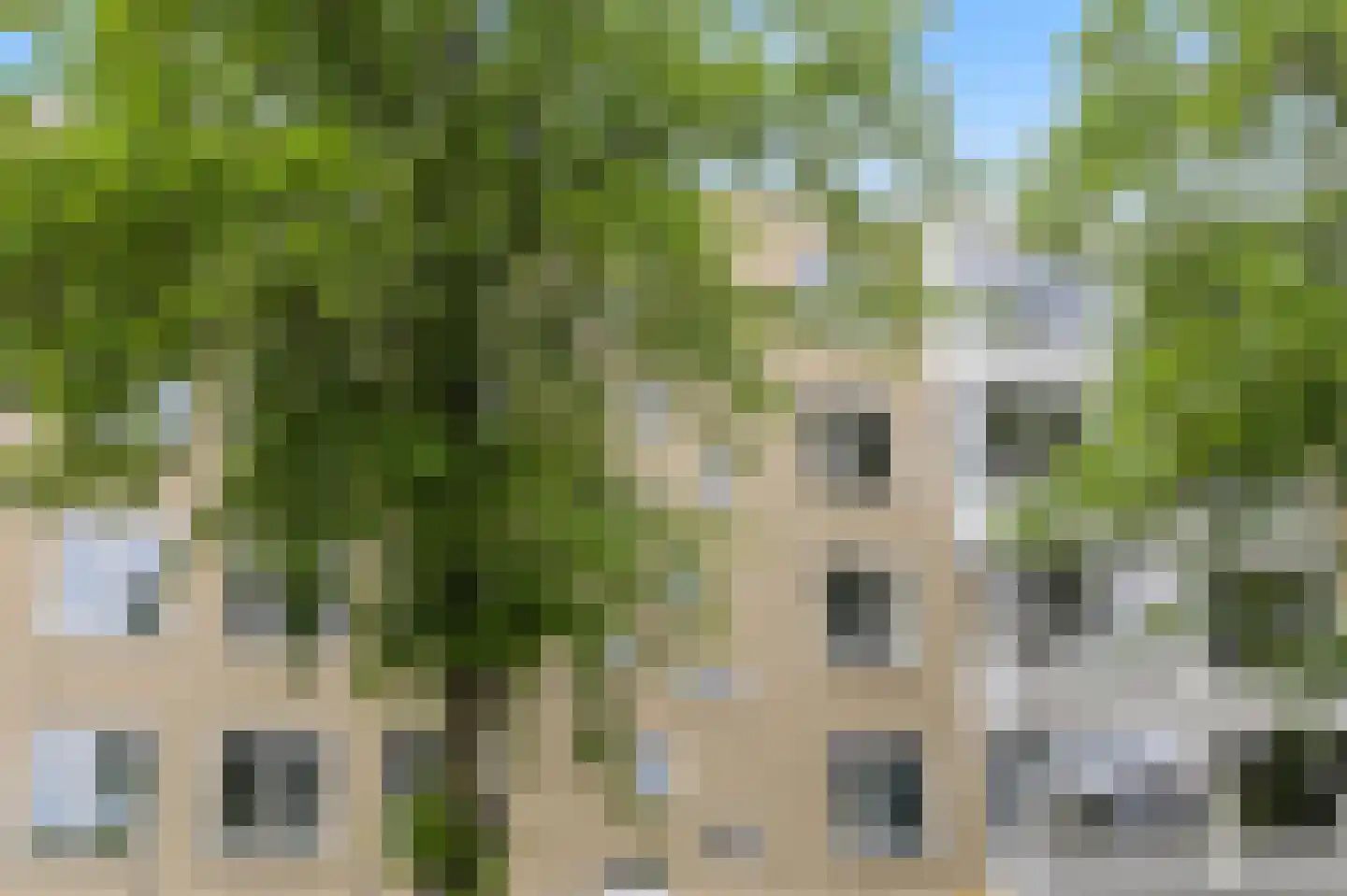 Van Bijnkershoeklaan 305 Utrecht