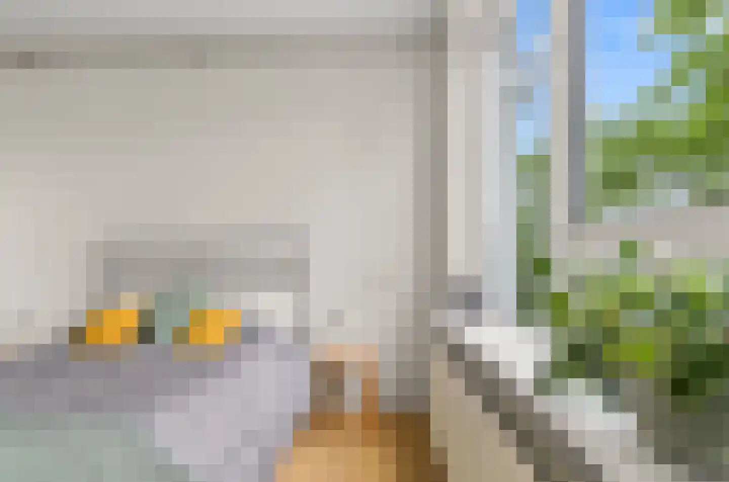Van Bijnkershoeklaan 305 Utrecht thumbnail 26