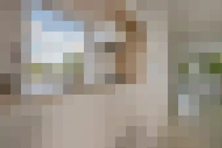Van Bijnkershoeklaan 329 Utrecht thumbnail 14