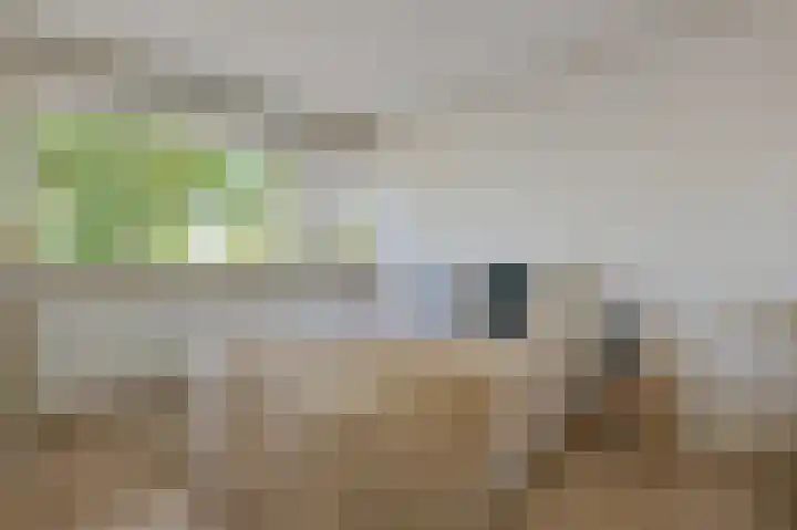 Van Bijnkershoeklaan 329 Utrecht thumbnail 18