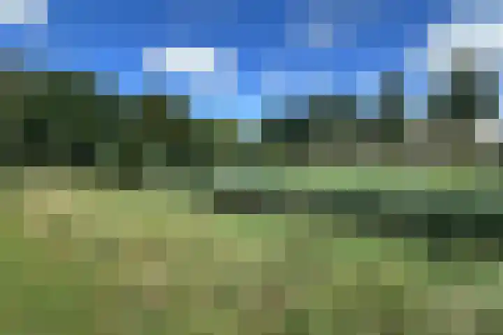 Van Bijnkershoeklaan 329 Utrecht thumbnail 23