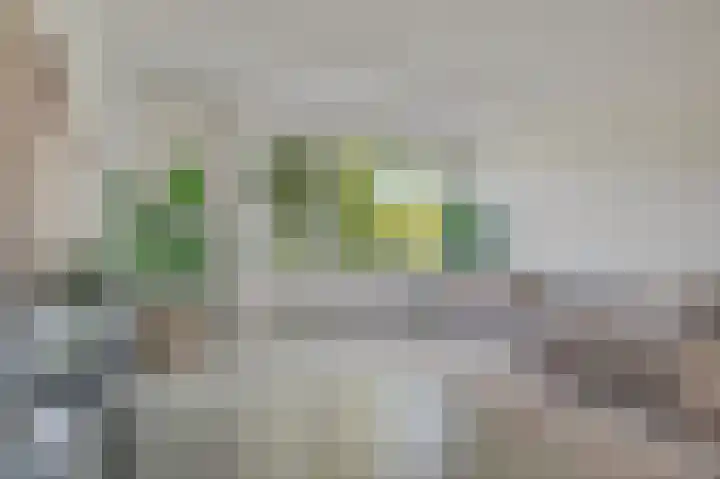 Van Bijnkershoeklaan 329 Utrecht thumbnail 5