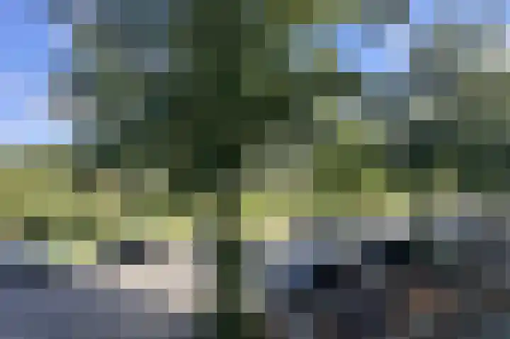 Van Bijnkershoeklaan 329 Utrecht thumbnail 7