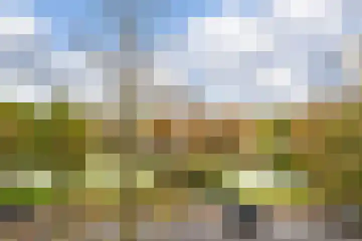 Van Bijnkershoeklaan 381 Utrecht thumbnail 15
