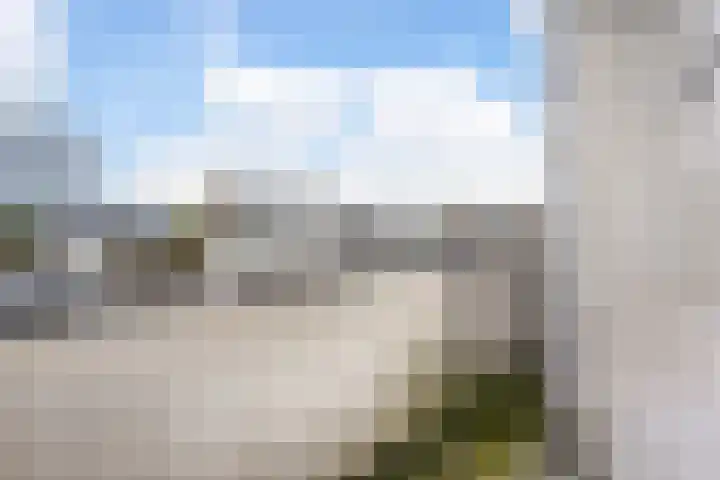 Van Bijnkershoeklaan 381 Utrecht thumbnail 24