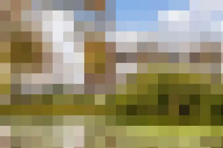 Van Bijnkershoeklaan 381 Utrecht thumbnail 25
