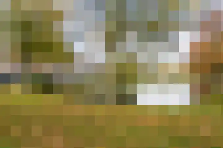 Van Bijnkershoeklaan 381 Utrecht thumbnail 26