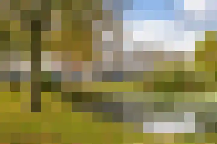 Van Bijnkershoeklaan 381 Utrecht thumbnail 27