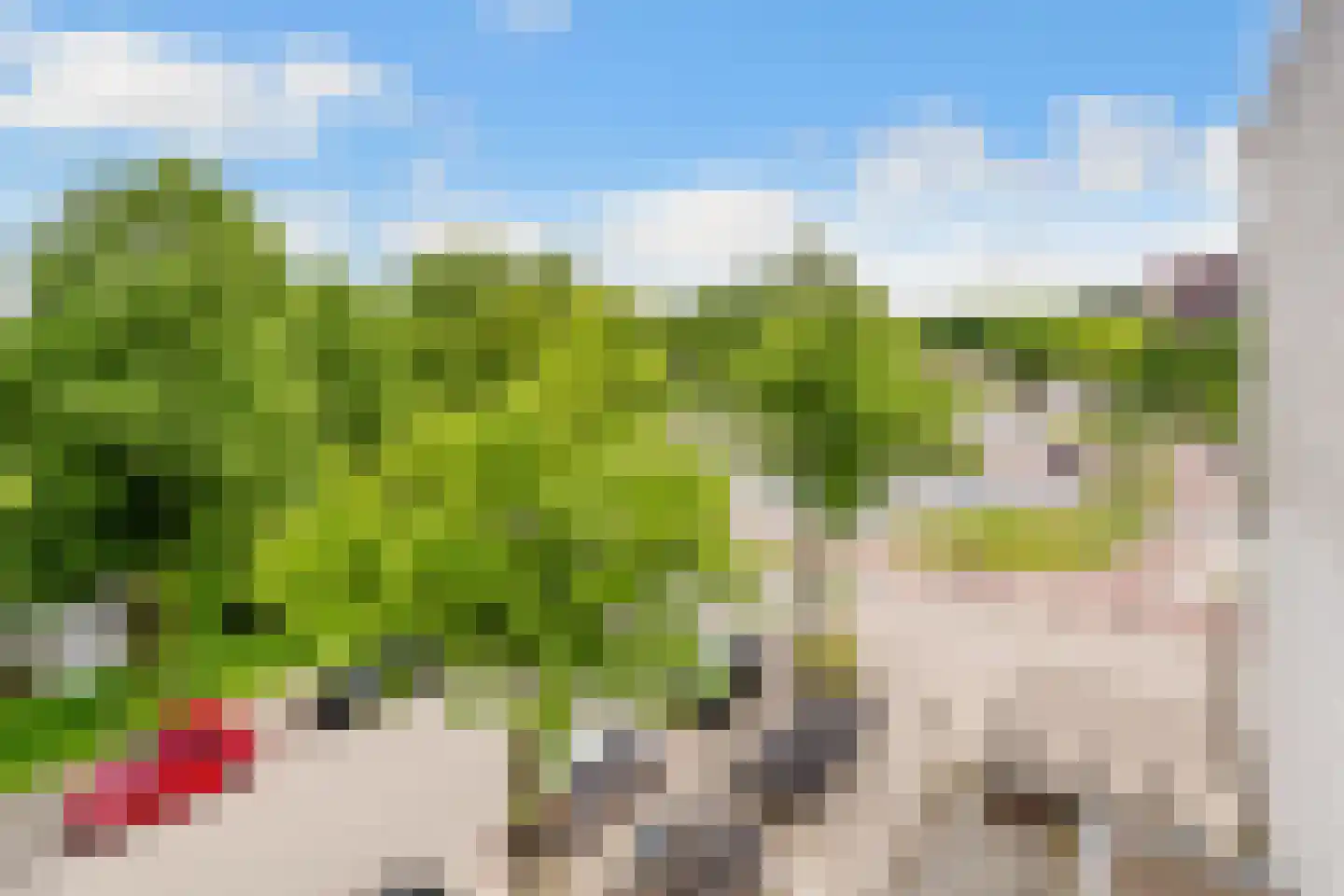 Van Bijnkershoeklaan 383 Utrecht thumbnail 19
