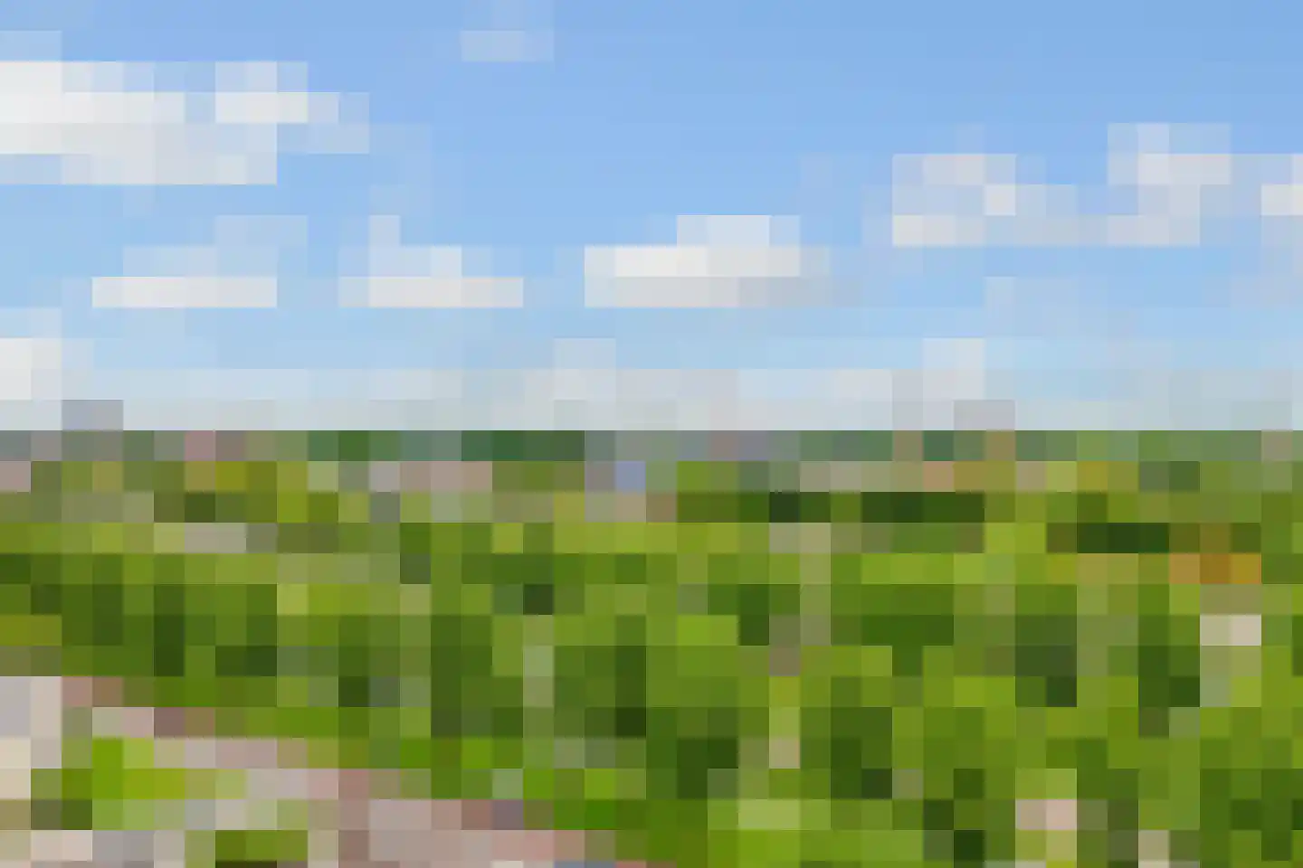 Van Bijnkershoeklaan 383 Utrecht thumbnail 34