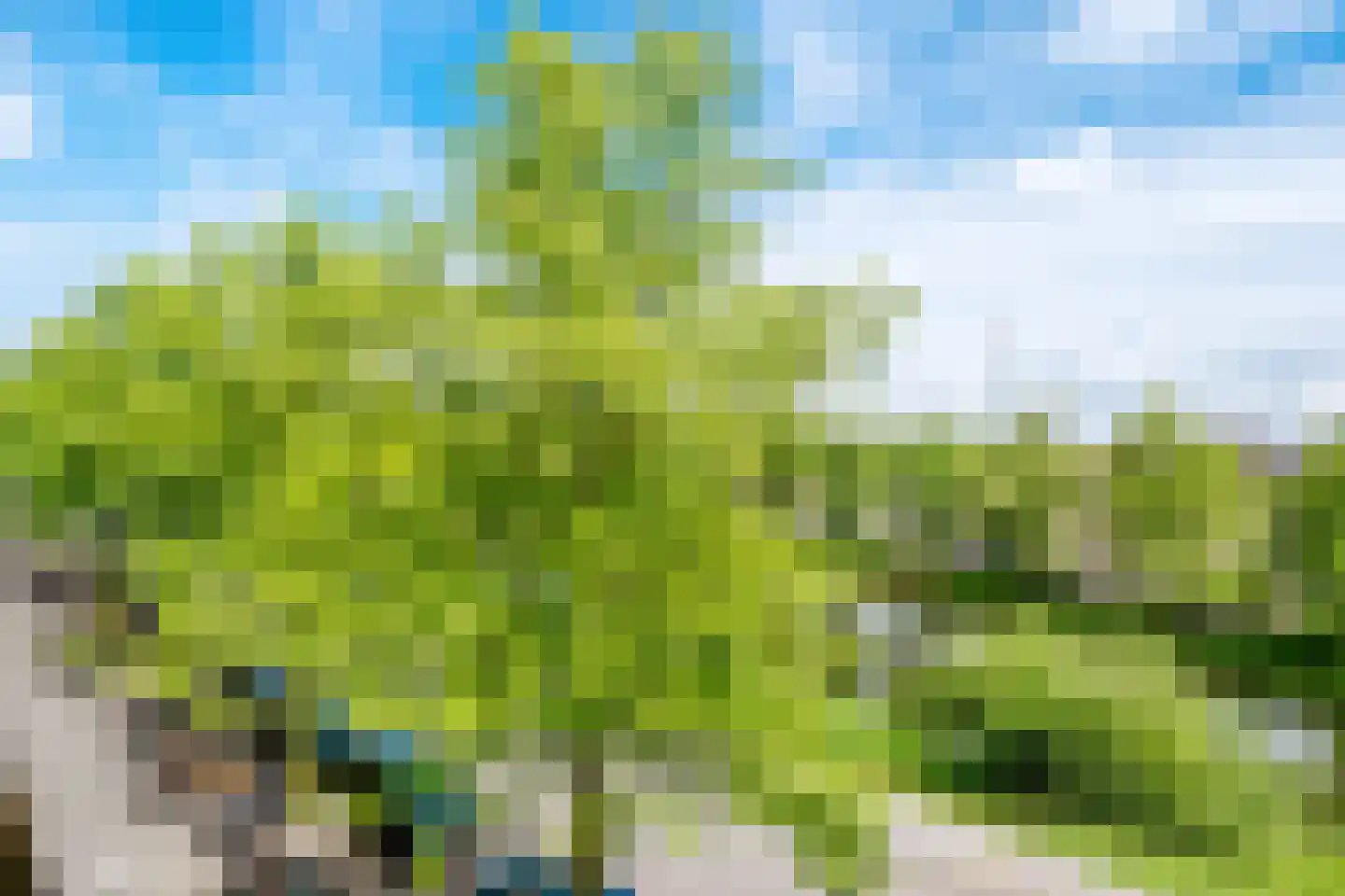 Van Bijnkershoeklaan 383 Utrecht thumbnail 5